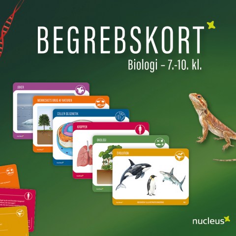 Begrebskort FS_æske_TOP_forside_web_BESKÅRET3